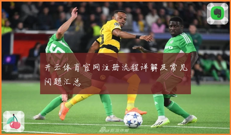 开云体育官网注册流程详解及常见问题汇总