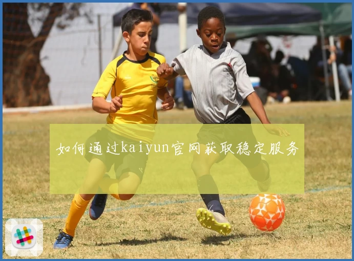 如何通过kaiyun官网获取稳定服务