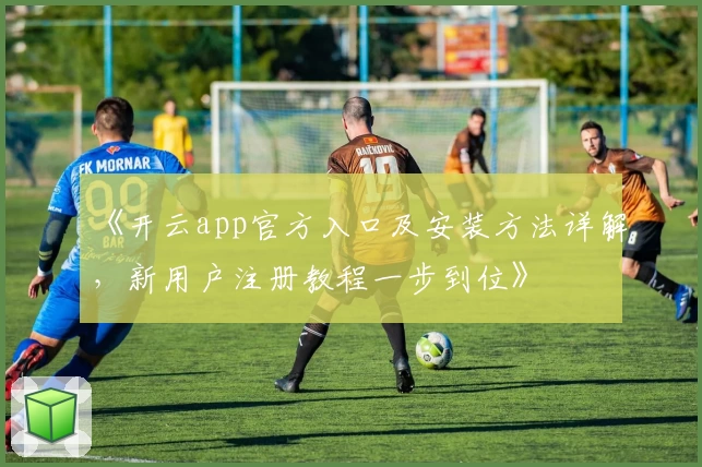 《开云app官方入口及安装方法详解,新用户注册教程一步到位》