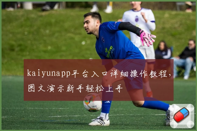 kaiyunapp平台入口详细操作教程，图文演示新手轻松上手